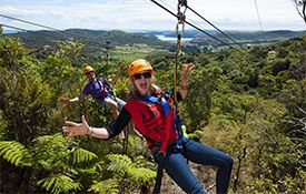 EcoZip Adventures