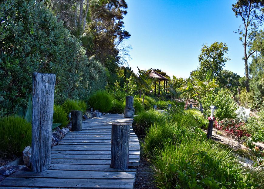 beautifully landscaped garden